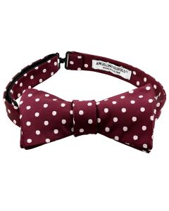 Small Polka Dot Bow Tie Tying