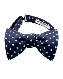 Polka Dot Bow Tie Tying