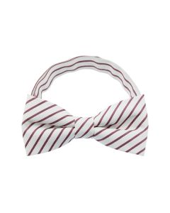 Purple Stripe Pattern 1 Bow Tie