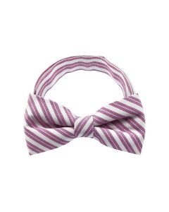 Light Purple Stripe Pattern 1 Bow Tie