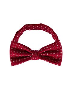 Polka Dot Bow Tie