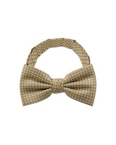 Dot Pattern 2 Bow Tie