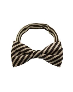 Brown Stripe Pattern 1 Bow Tie