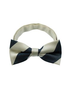 Stripe Pattern 1 Bow Tie