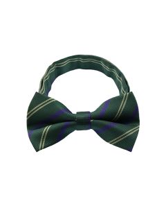 Dark Green Stripe Pattern 1 Bow Tie