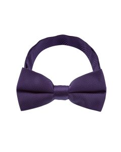 Purple Stripe Pattern 1 Bow Tie