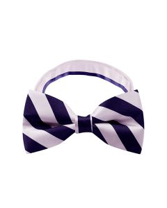 Purple Shade Stripe Bow Tie